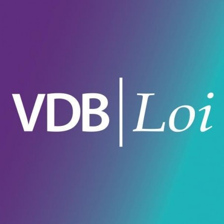 Logo VDB Loi Limited